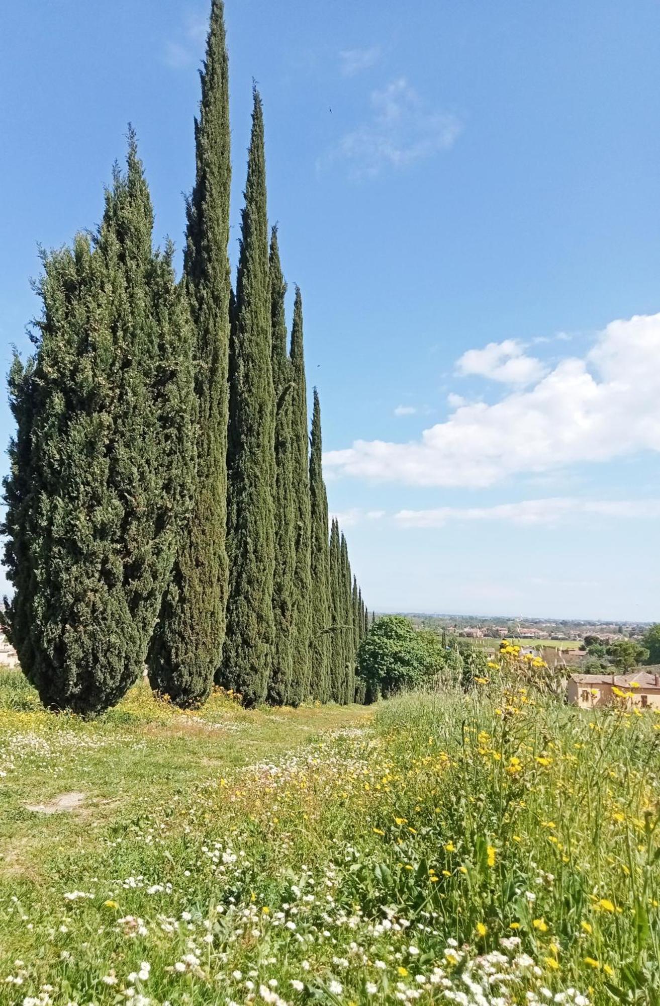 Casalice Appartement SantʼArcangelo di Romagna Buitenkant foto
